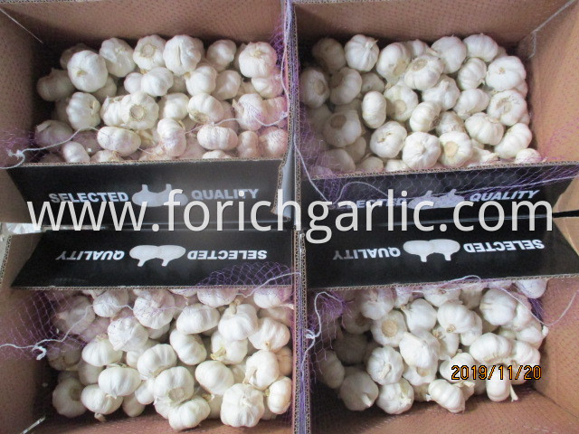 Best Quality 2019 Pure White Garlic